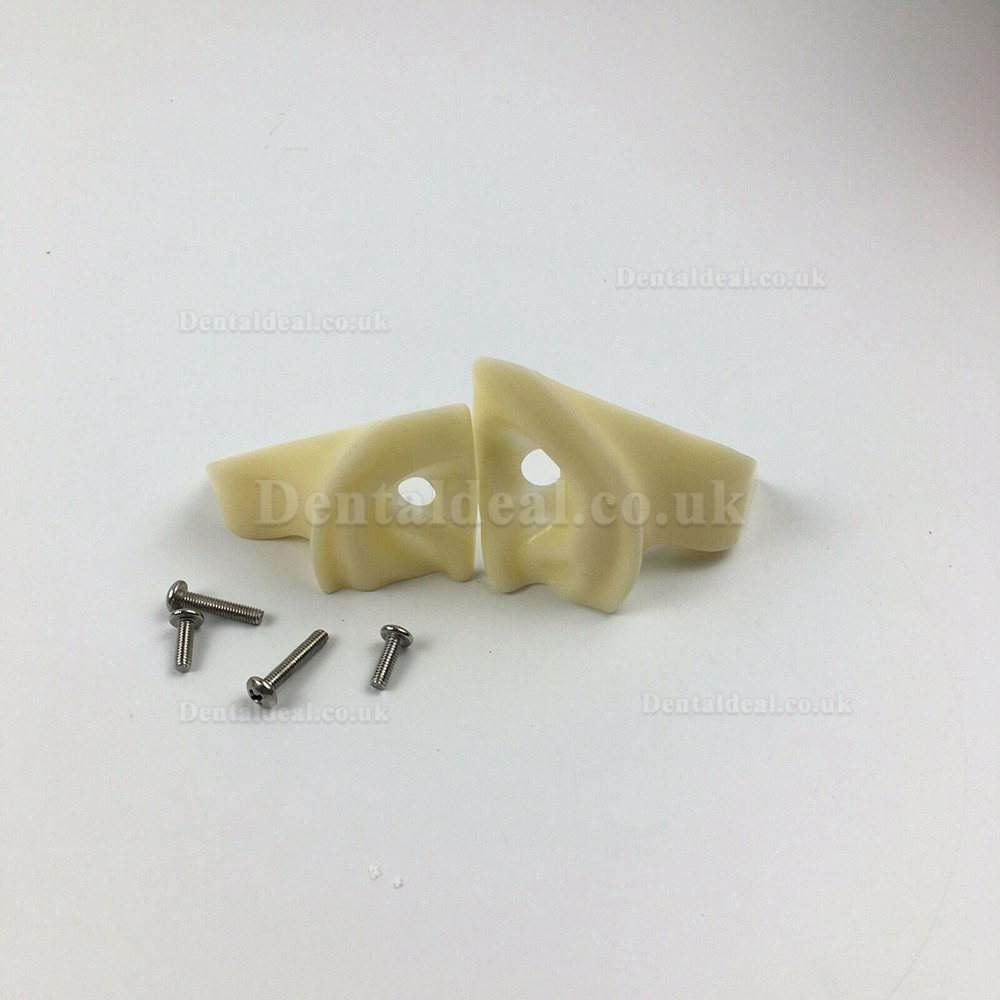 Jingle JG-C1 Dental Surgery Practice Model Head Clamp Type Simulation Phantom Head